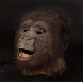 King Kong animatronic mask