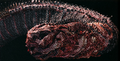 The 4th Form's spare head (The Art of Shin Godzilla, p. 390)