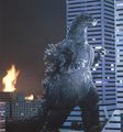BioGoji