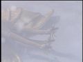 King Ghidorah lies on the bottom of the ocean