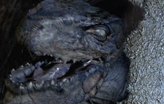 Godzilla as a newborn in GODZILLA (1998)