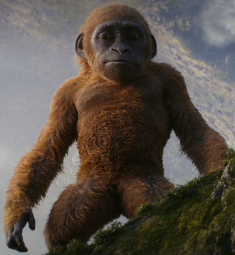Suko in Godzilla x Kong: The New Empire