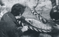 Gigan's buzzsaw is replaced during filming