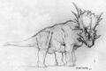 2003 pencil sketch of Ferrucutus
