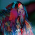"THE SKY FALLS" by XAI single (Artist edition)