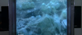Meganulon eggs underwater