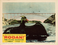 American Rodan lobby card