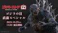 Godzilla Store stream