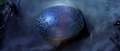A Meganulon egg
