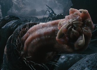 A Carnictis in King Kong