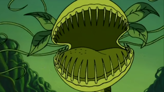 Venus Flytrap