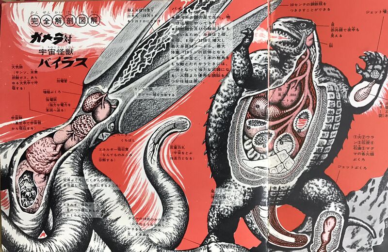 File:Gamera vs Viras Anatomy.jpeg