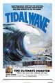 U.S. Tidal Wave poster