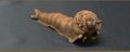 X-Plus Mothra Larva 1964