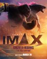 IMAX poster