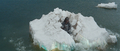 Godzilla escapes the iceberg