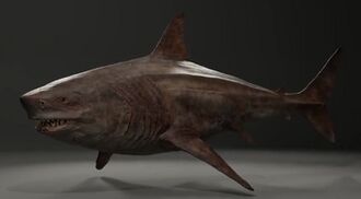 Kāitáng's CGI model