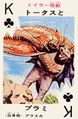 Tōtasu vs. Purami playing card