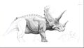 Triceratops