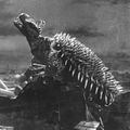 Anguirus