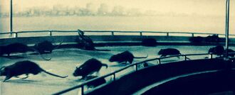 A horde of Nezura in a production still for Giant Horde Beast Nezura