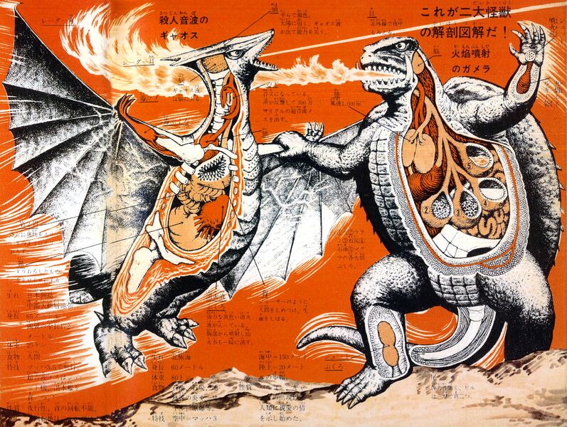 File:Gamera vs Gyaos Anatomy.jpeg