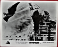 British Rodan lobby card