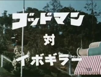 Godman vs. Ibogiller