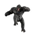 Kong