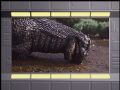 Godzilla is still down from the acid rain