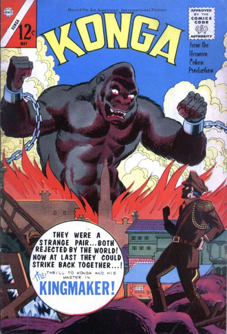 Cover art of issue #22