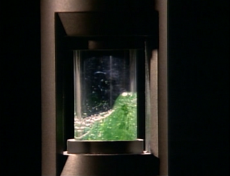 Fallah infecting Michiyuki Taki