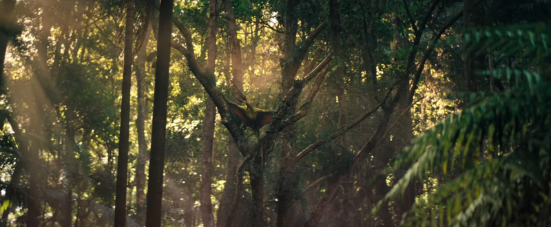 File:Captura de Ecrã (1180).png