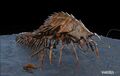 Endopede and Endoswarmer concept art