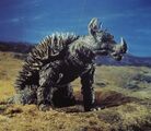 Anguirus
