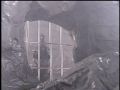 The bars go down on Godzilla