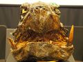 The head of the Avant Gamera suit from Gamera the Brave