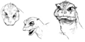 BabyGodzilla head concept art