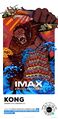 Chinese Godzilla vs. Kong IMAX poster