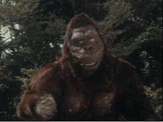 Gorilla in Go! Greenman