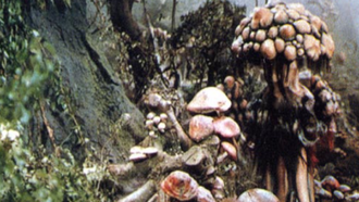 A Matango-infected human host and several Matango mushrooms in Matango