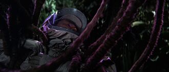 The Vampire Plant in Mothra