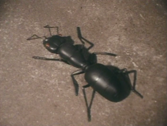 Ant Antguirus in Go! Greenman