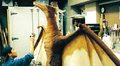 The freshly-constructed full-scale Rodan model is painted