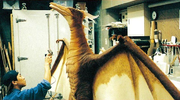 Rodan (Heisei) / Fire Rodan | Wikizilla, the kaiju encyclopedia