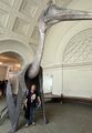 Wakasa with a Quetzalcoatlus statue