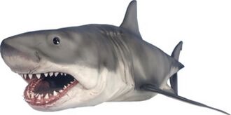 Full body image of Bruce