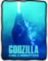 Fleece blanket
