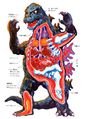 Anatomy of Godzilla