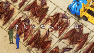 The title card of "Gadabout"